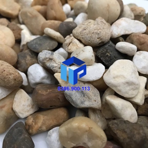 SỎI ĐA SẮC TRANG TRÍ