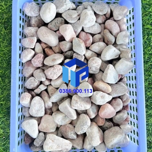Sỏi hồng