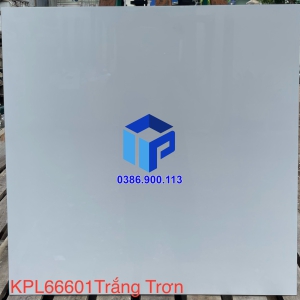 GẠCH (60X60) KPL 66601