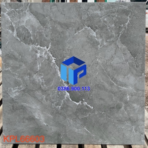 GẠCH (60X60) KPL 66603 CP