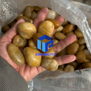 Sỏi vàng bóng xuất khẩu HCM