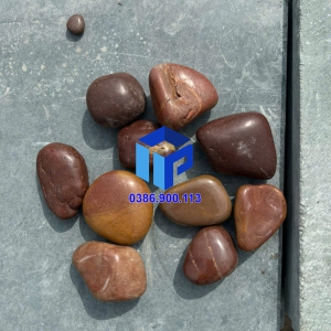 SỎI HỒNG TÍM  BÓNG NHẬP KHẨU 