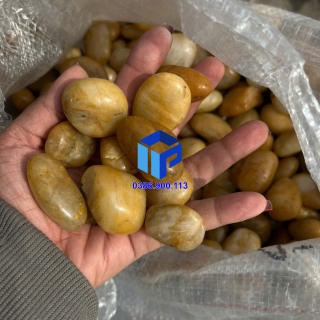 Sỏi vàng bóng xuất khẩu HCM