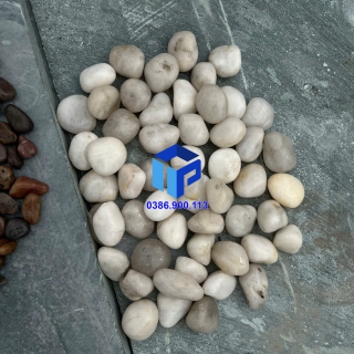 SỎI TRẮNG SỮA  BÓNG NHẬP KHẨU 