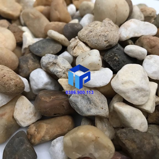 SỎI ĐA SẮC TRANG TRÍ