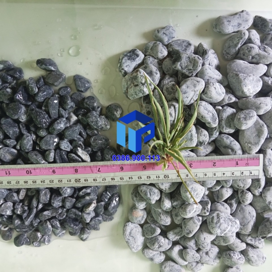 Sỏi tự nhiên đen vò