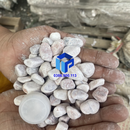 Sỏi hồng