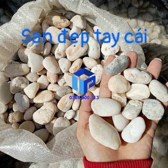 Sỏi biển