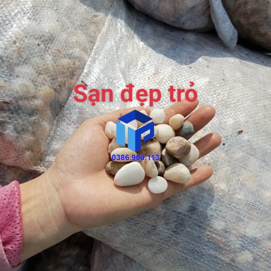 Sỏi biển