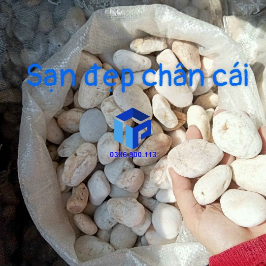 Sỏi biển