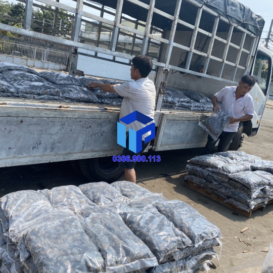 Sỏi đen tự nhiên