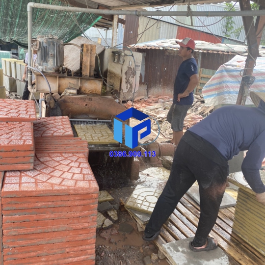  gạch vỉa hè Mắt phụng vàng