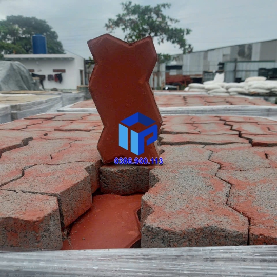 Gạch con sâu 