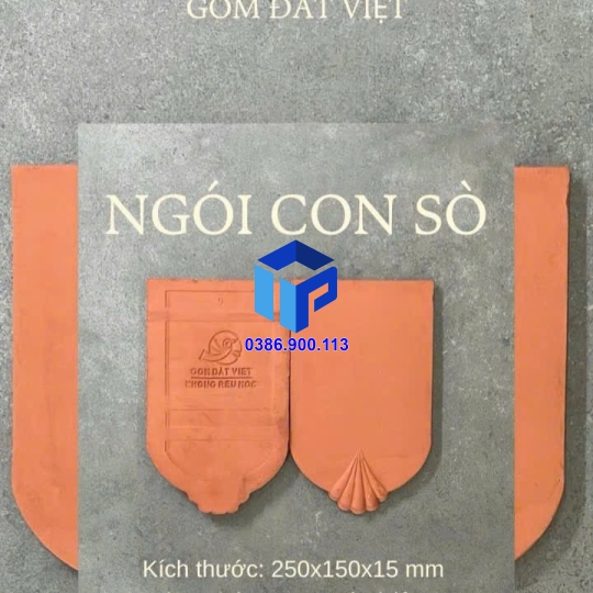 Ngói con sò