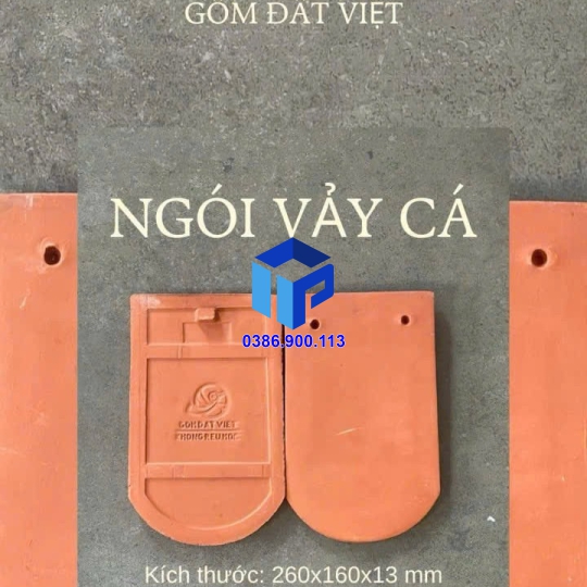 Ngói vảy cá lớn