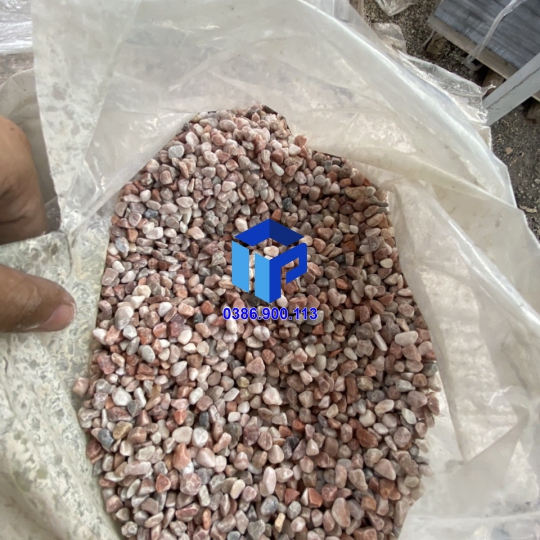 SỎI HỒNG VÒ TRANG TRÍ