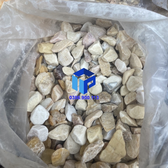 SỎI VÀNG QUAY TRANG TRÍ