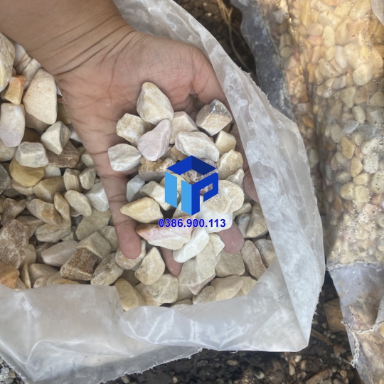 SỎI VÀNG QUAY TRANG TRÍ