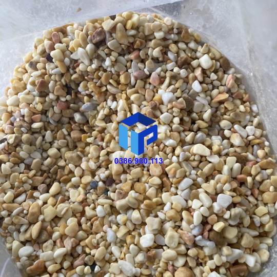 SỎI VÀNG VÒ TRANG TRÍ LỌC NƯỚC