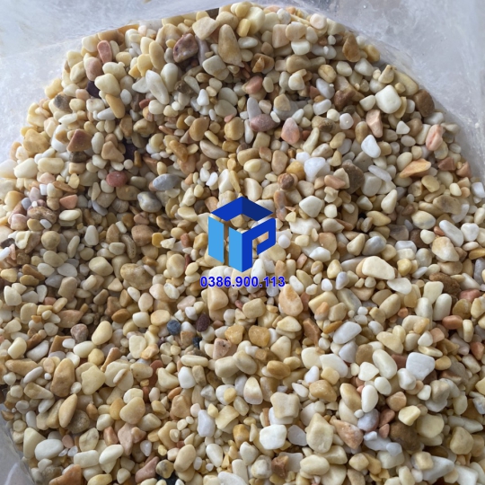 SỎI VÀNG VÒ TRANG TRÍ LỌC NƯỚC