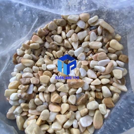 SỎI VÀNG VÒ TRANG TRÍ LỌC NƯỚC