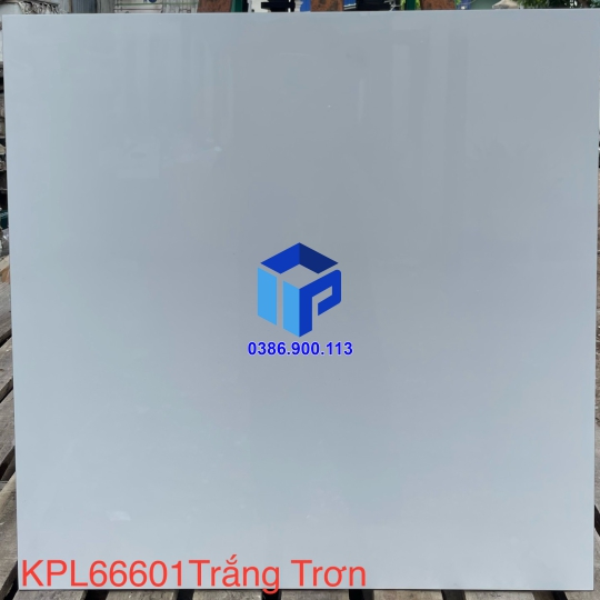 GẠCH (60X60) KPL 66601