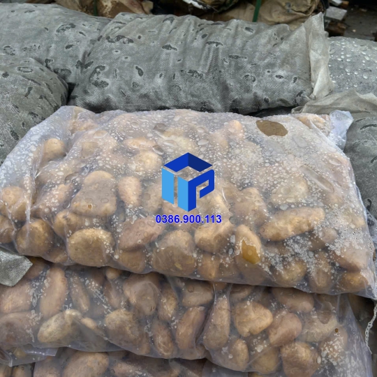 Sỏi vàng bóng xuất khẩu HCM